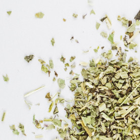 Bukvice lékařská (Betonica...