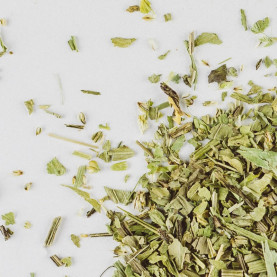 Jitrocel kopinatý list...