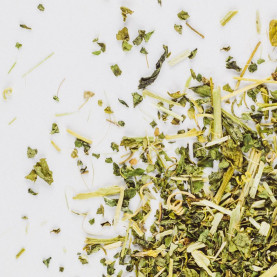 Mučenka opletní (Passiflora...