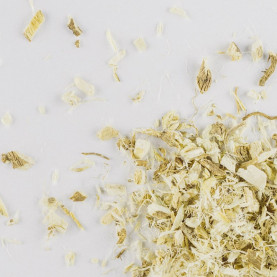 Proskurník lékařský kořen...